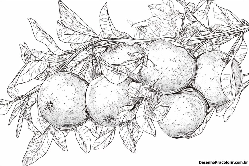 Orange Coloring Pages