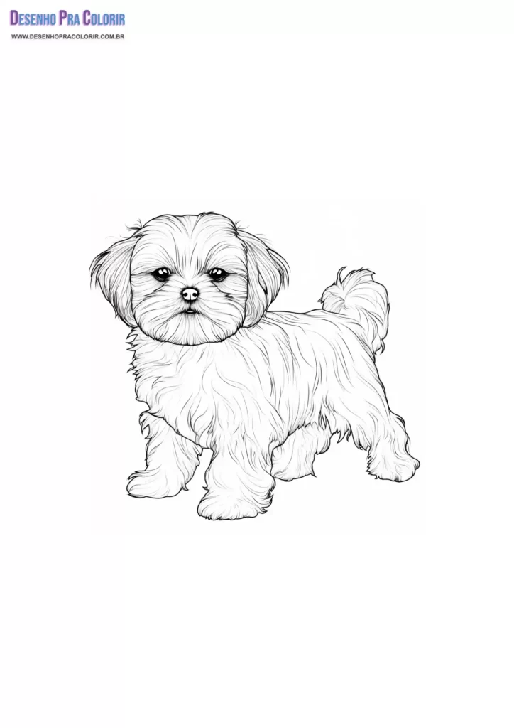 Cachorrinho Para Colorir