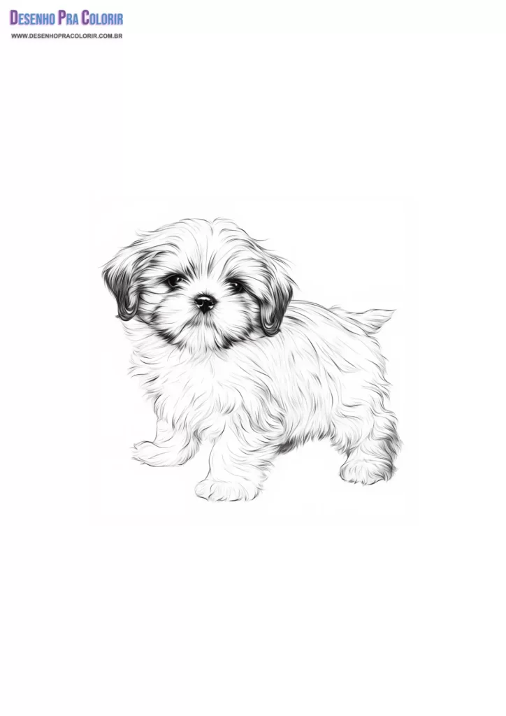 Cachorrinho Para Colorir