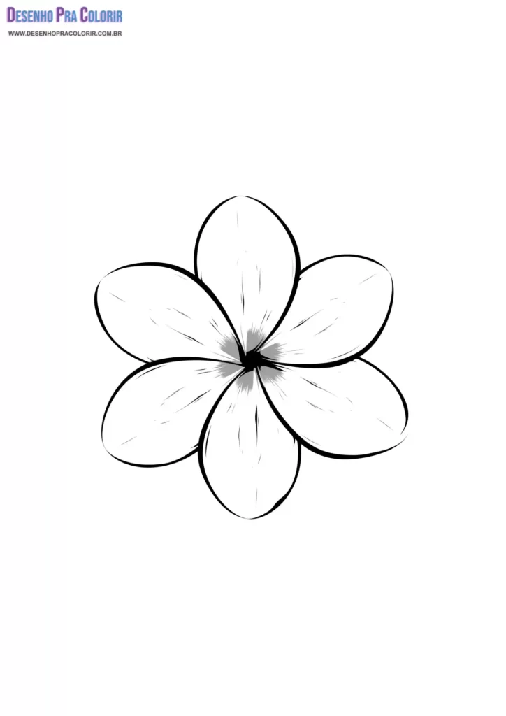 Molde de Flor
