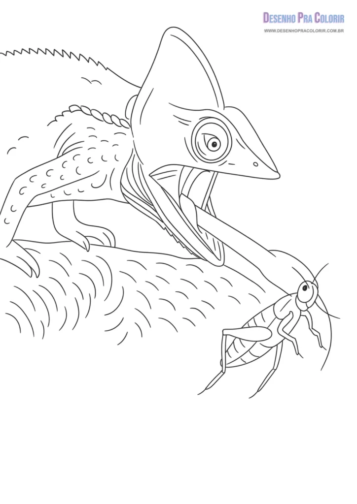 Camaleão Para Colorir