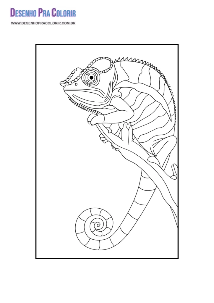 Camaleão Para Colorir