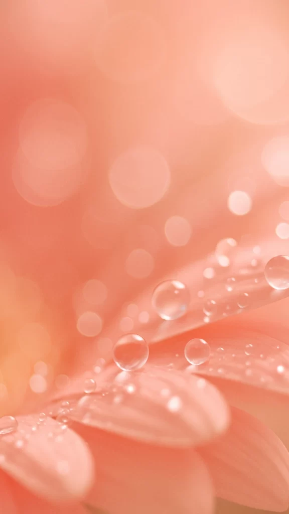 Papel De Parede Para Celular Feminino